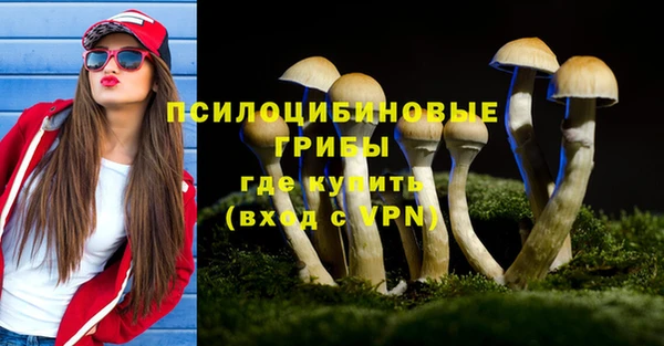Альфа ПВП Зеленодольск