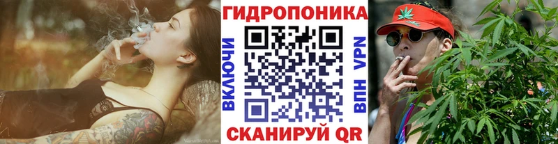 Купить закладки  Приволжск  Конопля конопля 